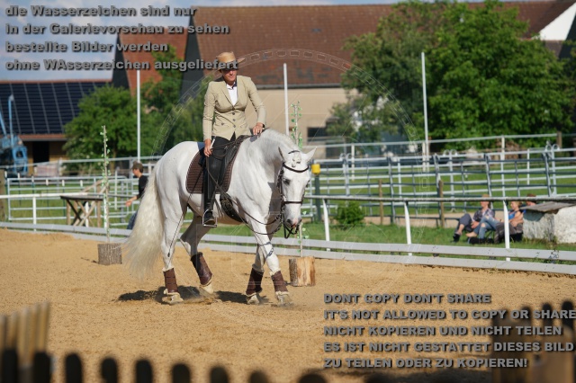 s_K3F05152.JPG